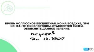 ВСЯ ЗООЛОГИЯ за ЧЕТЫРЕ ЧАСА