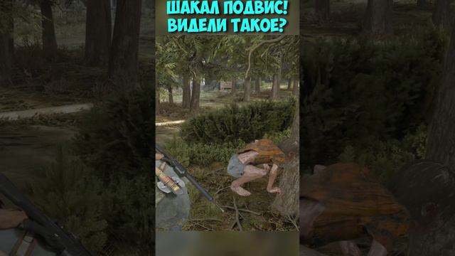 Шакал ПОДВИС! Видели такое #shorts #daysgone #жизньпосле #шакал #прикольныйбаг смотреть онлайн