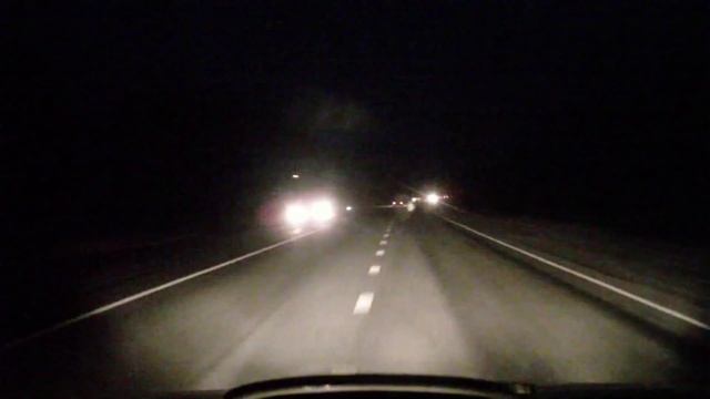 Лоси перебегают трассу ночью смотреть онлайн