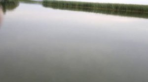 Лодка «Юкона 2800» мотор «Sea-Pro» 2,5л.с.16/09/2012
