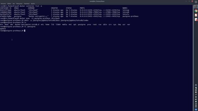 Protheus + Docker # 002 - Banco de Dados PostgreSQL смотреть онлайн
