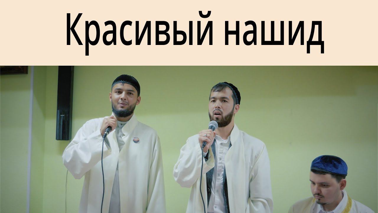 Красивый нашид смотреть онлайн