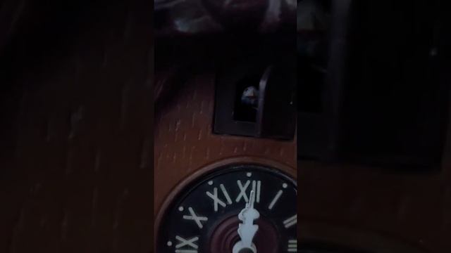 Cuckoo clock made in GDR смотреть онлайн