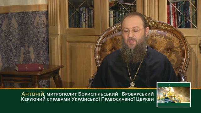 Был ли апостол Андрей на Руси и как Церковь относится к гаданию? Программа ЦиО. Выпуск №111 смотреть онлайн
