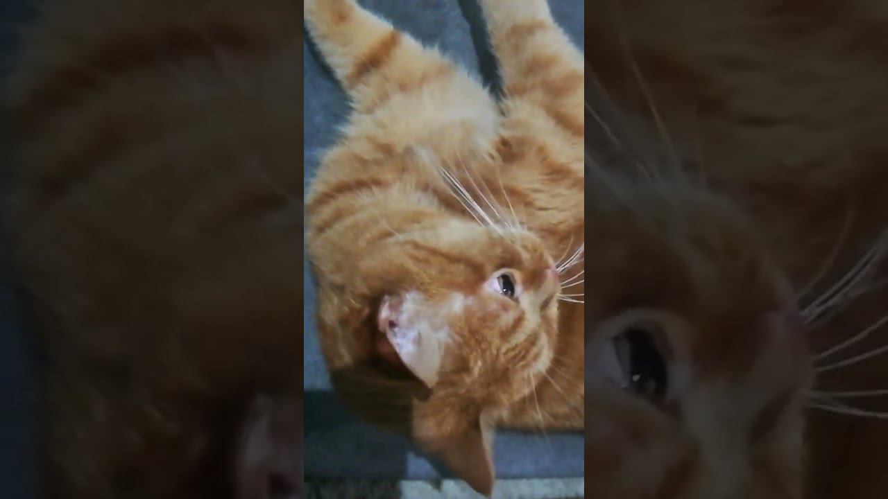 12 октября 2023 г.