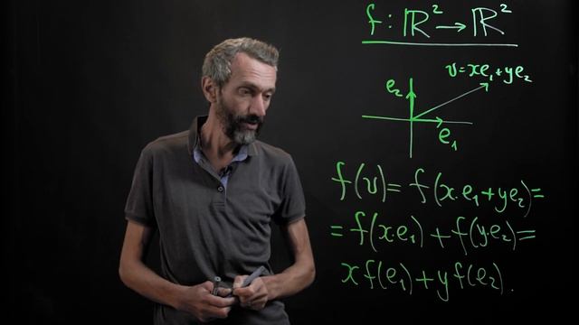 66. Линейные отображения прямой и плоскости. Алексей Савватеев. 100 уроков математики смотреть онлайн