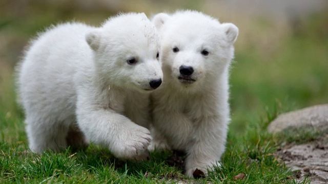 каждый по своему маму поздравит смотреть онлайн