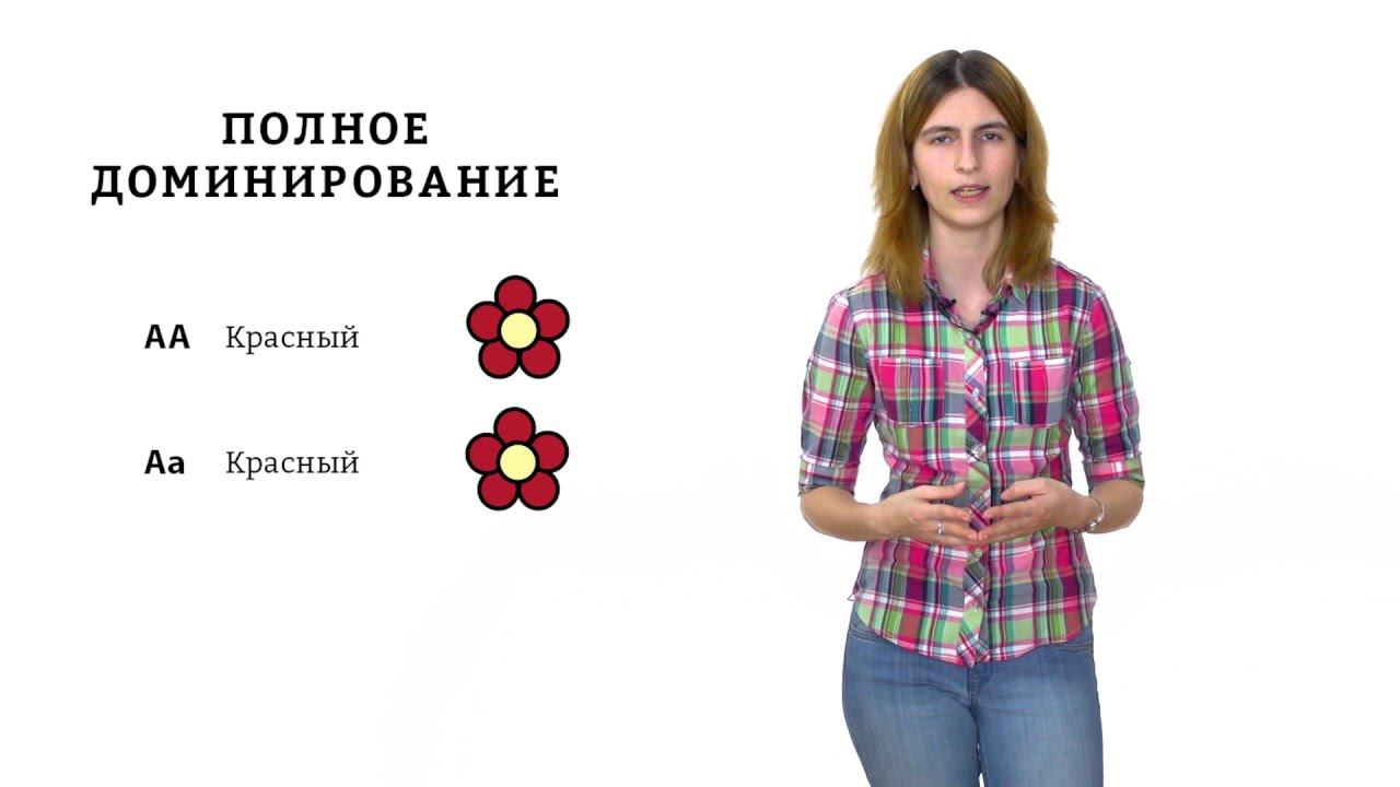 5. Моногибридное скрещивание и взаимодействие аллелей. Решение генетических задач 9 - 11 класс смотреть онлайн