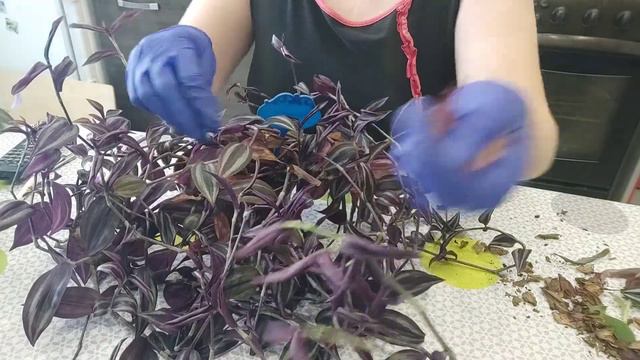 21 января 2021 г. смотреть онлайн