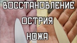 Восстановление Острия (Кончика) Ножа без применения станков, Zag Max, Эльборы, Алмазы