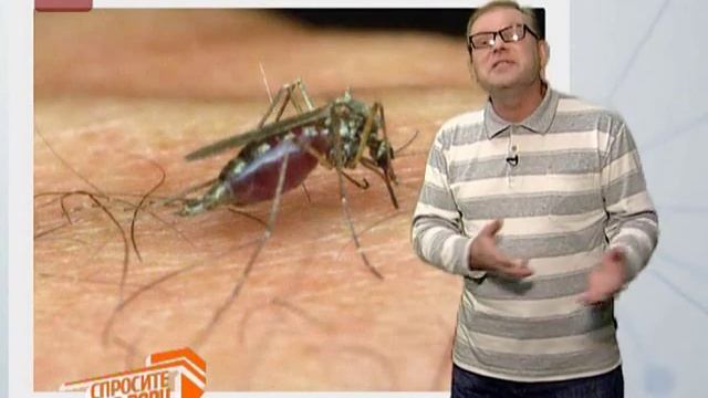 Спросите дядю Вову. Сколько живут Комары смотреть онлайн