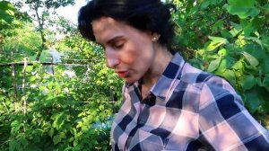 Кто с нами на ДАЧУ? Хотите на нее ПОСМОТРЕТЬ? @Мамины рецепты на ДАЧЕ! - 2 Дыдынские на связи