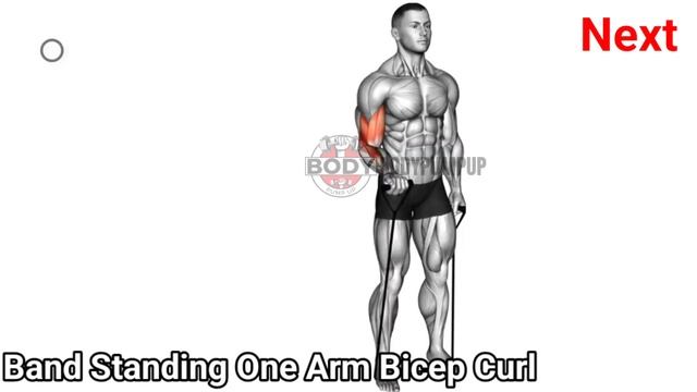 Bigger, Stronger, Better The Best Bicep Workouts You Need To Try