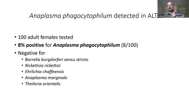 Ecological Epidemiology of the Asian Longhorned Tick: Insights from Ohio--Eleftheriou смотреть онлайн