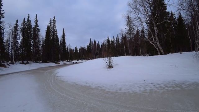 Навестили дом в тайге. Отдых на природе. Поймали редкую рыбку. Подготовили избу к паводку. смотреть онлайн
