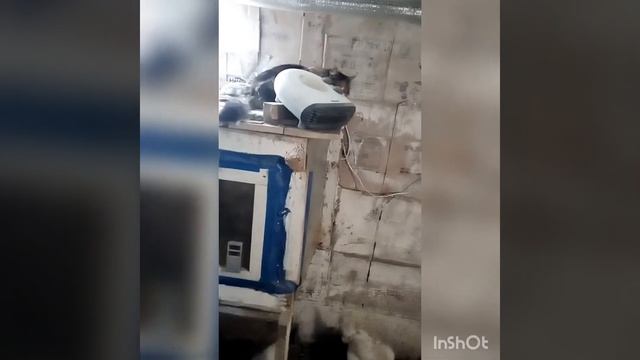 Сырость в курятнике. Как избавиться от сырости в сарае. Часть 2. смотреть онлайн