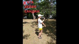 karate. Разбор ката Хейян Сандан. Третье ката.