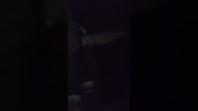 У меня родился щенок！ смотреть онлайн