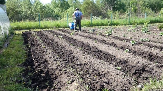 Полольники. Нева МБ 2 Мультиагро. смотреть онлайн