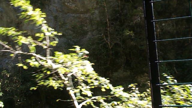 DSCN7845 Гуамское ущелье сентябрь 2024