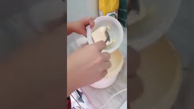 Зоопарк и Дикие Животные