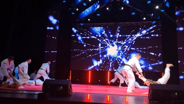 Сборная Общероссийской Федерации Спортиного (Томики) Айкидо смотреть онлайн