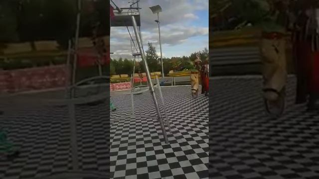 Цирк в Астане смотреть онлайн