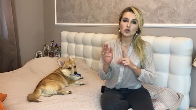 Как уговорить родителей КУПИТЬ СОБАКУ?! смотреть онлайн