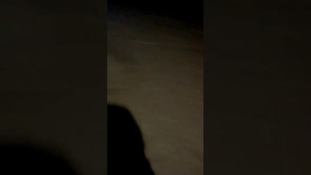 о.Чаны Новосибирская область 16.02.19 смотреть онлайн