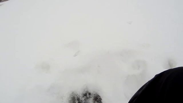 Тест искусственного мотыля Lucky John для подледной рыбалки в сравнении с безмотылкой.