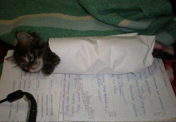 UNUSUAL MEMES COMPILATION