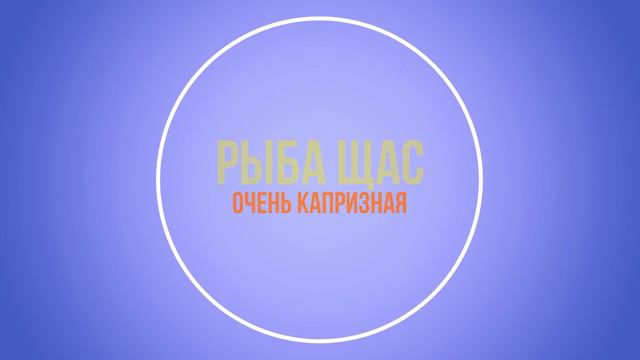 Если у вас не клюет рыба в Запорожье что делать смотреть онлайн