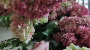 Изготовление стабилизированных гортензий в домашних условиях. В описании дополнения к ролику.