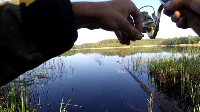 Рыбалка на фидер с удочкой. Бомбезный окунь на фидер. смотреть онлайн