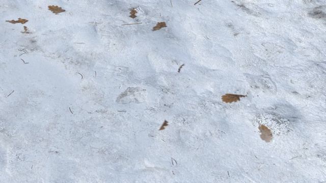 Quick Snow add-on for blender feature video смотреть онлайн