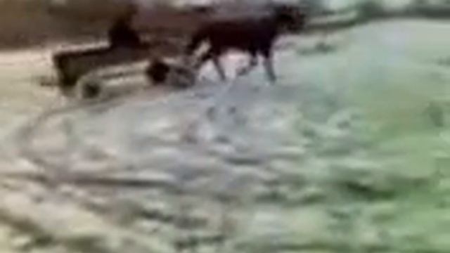 Forsaj 4 Derevenskii DRIFT смотреть онлайн