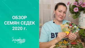 Что посадить на рассаду в сезон 2020?  Советуем то, в чем уверены!  Обзор семян от СеДек.