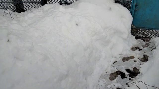 Зима на Кубани приносит сюрпризы. смотреть онлайн