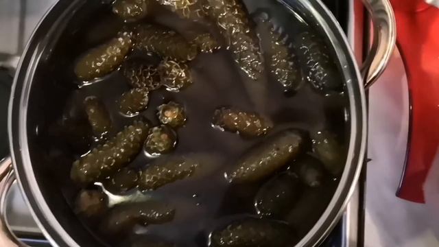 ?Сироп из еловых шишек. Готовила варенье, а получился сироп.???