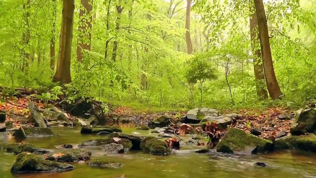 М.Ю. Лермонтов "Когда волнуется желтеющая нива..." смотреть онлайн