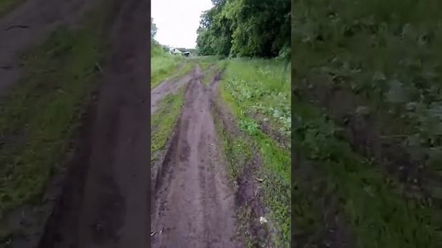 Ягодные места посёлок Жигули ,Самарская область смотреть онлайн