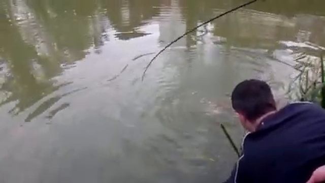 Лазаревское Отдых, цены. Рыбалка. http://lazarevskoye.tiu.ru/ смотреть онлайн