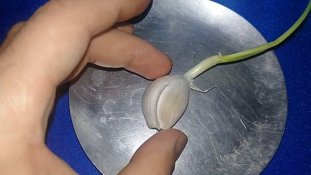 Александр Пичуев СИЛЬНЫЙ РИТУАЛ КАК СНЯТЬ#ЕГИЛЬЕТ/ПОЛОВУЮ ПРИВЯЗКУ!?АВТОРСКИЙ смотреть онлайн