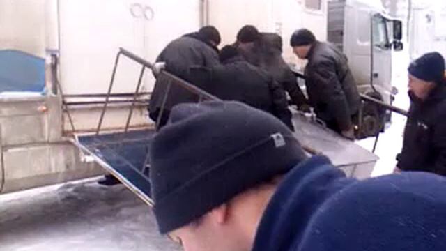 Морских котиков увозят из цирка смотреть онлайн