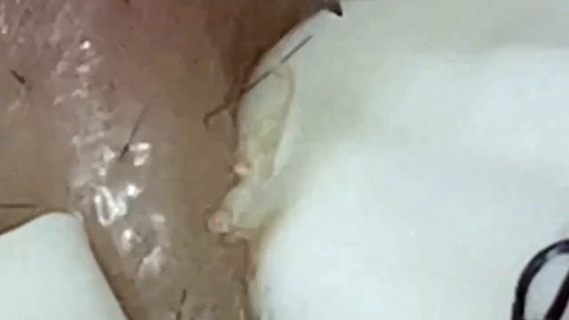 الوقت المناسب مع فيديوهات الغاز الطبيعي المسال #SDS1480