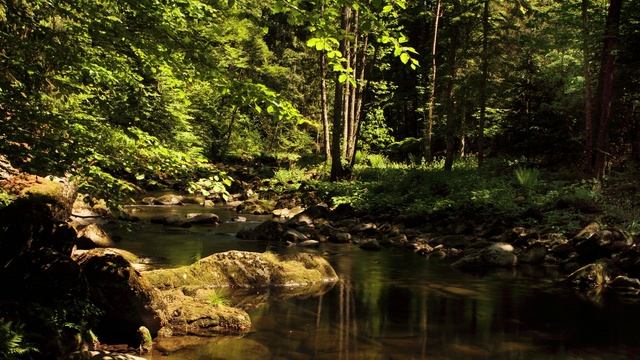 Что такое знак ОМ. смотреть онлайн