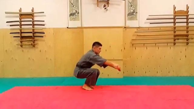 ПЛАМя - приседания. смотреть онлайн