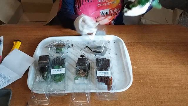 Новые посылки из "Русского огорода". Распаковка. смотреть онлайн