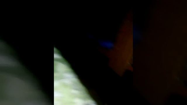 Первое видео Димаса смотреть онлайн