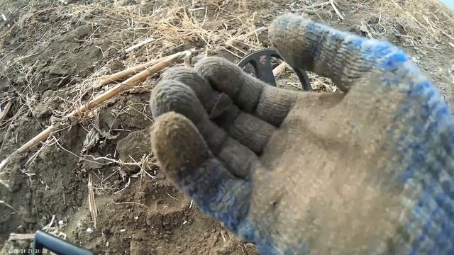 Охота на Клад. Птичку Жалко. Поиск с Xp Deus Metaldetecting смотреть онлайн